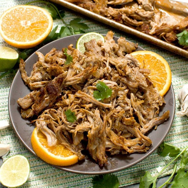 Pork carnitas on a plate.