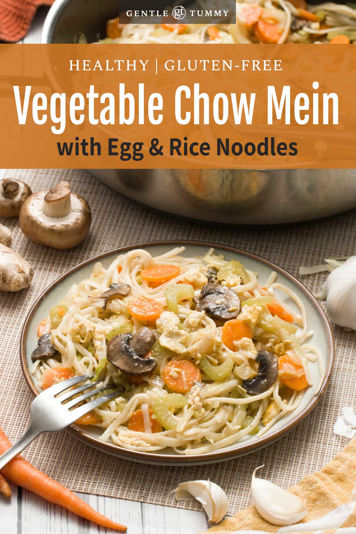 Gluten-Free Rice Noodle Chow Mein with Vegetables
